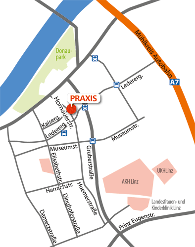 Linz Plan