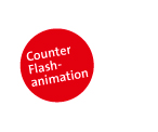 Flash Counter